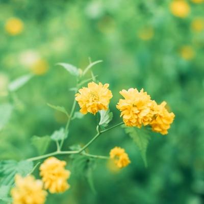 灵魂之旅最新破解版下载